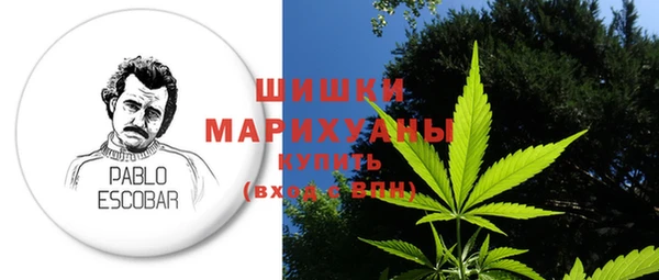 ПСИЛОЦИБИНОВЫЕ ГРИБЫ Кодинск