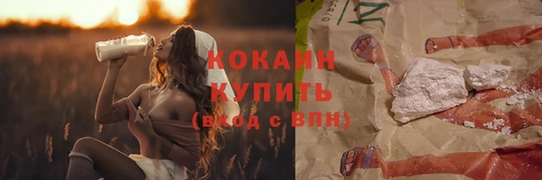 ПСИЛОЦИБИНОВЫЕ ГРИБЫ Кодинск