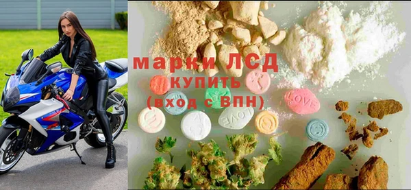 ПСИЛОЦИБИНОВЫЕ ГРИБЫ Кодинск