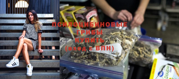 не бодяженный Козельск