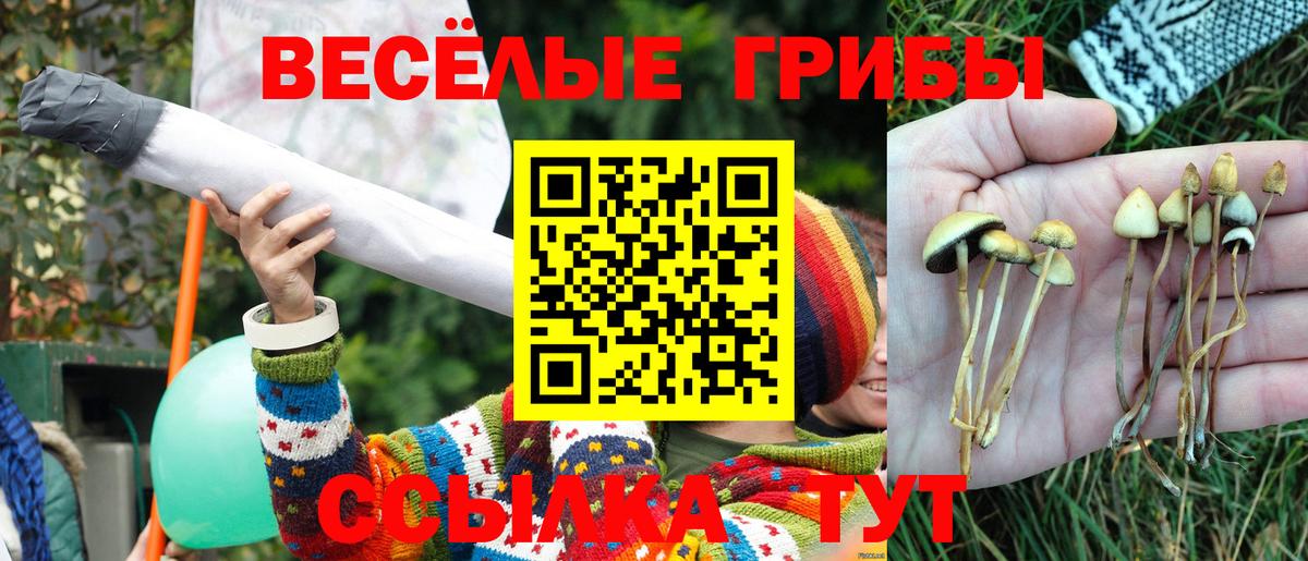 Дюртюли  Галлюциногенные грибы Magic Shrooms  Вход с VPN  Галлюциногенные грибы GOLDEN TEACHER 