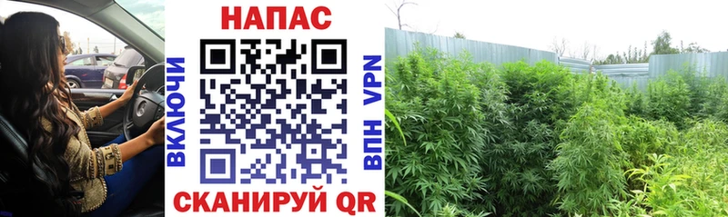 Каннабис тримм Купить Дюртюли